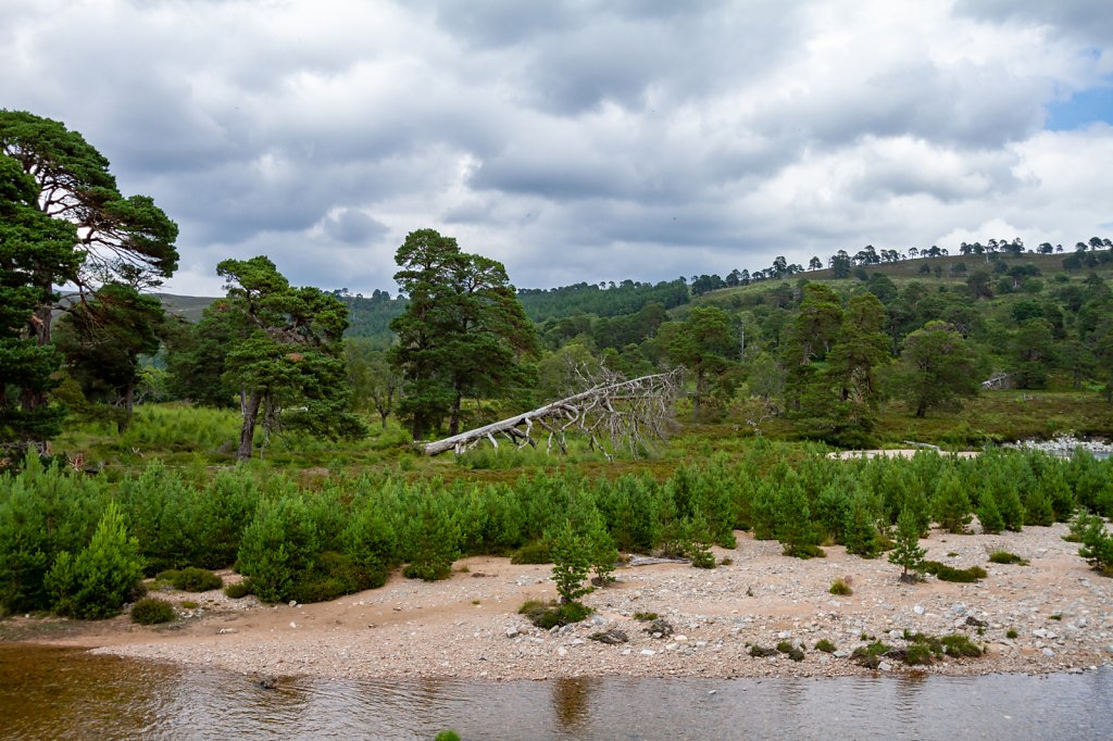 MG-3356-HDR.jpg